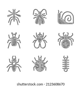 Set Insect fly, Mite, Centipede, Spider, Ant, Beetle bug, Snail and Mosquito icon. Vector