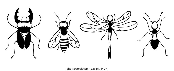 Set with insect in hand drawn doodle style