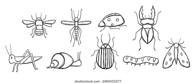 Set with insect in hand drawn doodle style