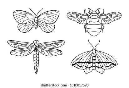 A set of insect icon outlines in a minimalist trendy style. Vector linear illustrations of butterflies, bumblebees and dragonflies to create logos for beauty salons, massages, spas, jewelry, tattoos