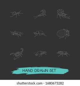 Set of insect icons line style symbols with horsefly, honey ant, poisonous and other icons for your web mobile app logo design.