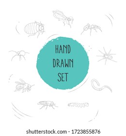 Set of insect icons line style symbols with tarantula, caterpillar, bedbug and other icons for your web mobile app logo design.