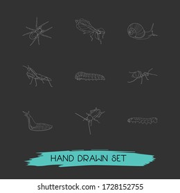 Set of insect icons line style symbols with caterpillar, spider, leaf insect and other icons for your web mobile app logo design.