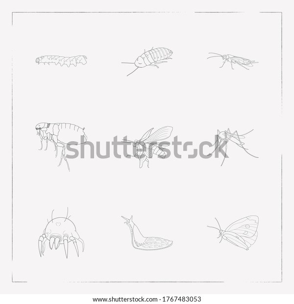 Set of insect icons line style symbols with\
mosquito, madagascan hissing cockroach, slug and other icons for\
your web mobile app logo\
design.