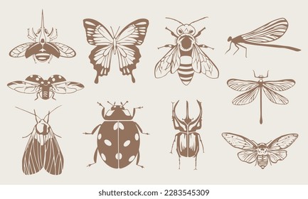 conjunto de vector de dibujo manual de ilustración de insecto