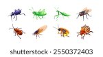 Set of insect illustrations, ground beetle, grasshopper, praying mantis, fly, red bug, cicada, cricket, Colorado potato beetle, realistic in 3D style.