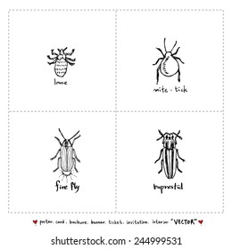 Set of insect illustrations - Hand drawn sketch - vector