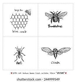 Set of insect illustrations - Hand drawn sketch - vector