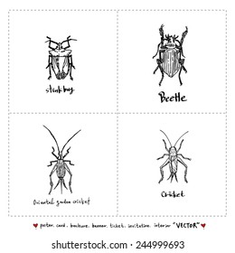 Set of insect illustrations - Hand drawn sketch - vector