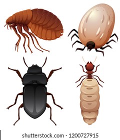 Conjunto de insectos en la ilustración de fondo blanco