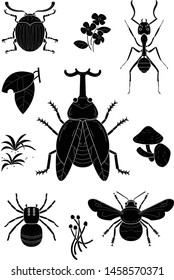 the set of insect and plants.