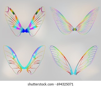 set of insect rainbow wings isolated on white background, vector illustration 