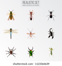 Set of insect realistic symbols with ant, dragonfly, pismire and other icons for your web mobile app logo design.