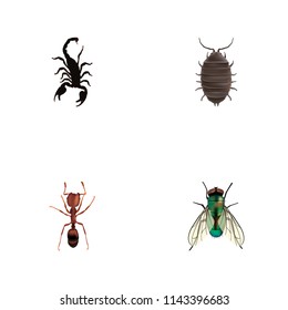 Set of insect realistic symbols with bug, wasp, scorpion and other icons for your web mobile app logo design.