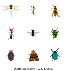 Set of insect realistic symbols with insect, bug, moth and other icons for your web mobile app logo design.