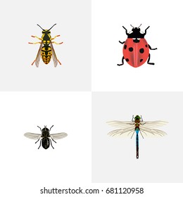  Set Of Insect Realistic Symbols Also Includes Ladybug, Midge, Damselfly Objects.
