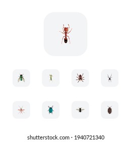 Set of insect realistic symbols with mosquito, mantis, black widow and other icons for your web mobile app logo design.