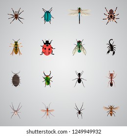 Set of insect realistic symbols with sting, black widow, pismire and other icons for your web mobile app logo design.