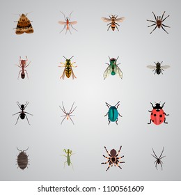 Set of insect realistic symbols with tarantula, moth, bug and other icons for your web mobile app logo design.