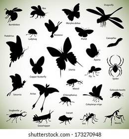 Set of insect silhouettes on abstract background