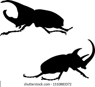 Set of insect silouettes isolated on white. Vector illustration isolated on white