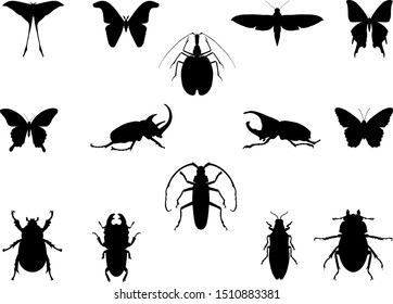 Set of insect silouettes isolated on white. Vector illustration isolated on white