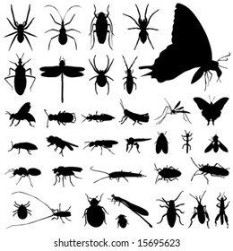 set of insect vector