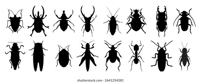 Set of insect vector illustration