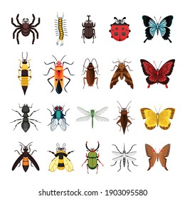 Set of insects animal collection vector illustration isolated on white background