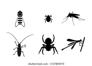 set of insects: bee, spider, mosquito, tick, dragonfly, beetle vector stock illustration