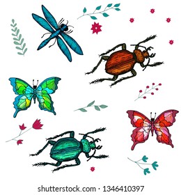 Set of insects. Beetles, butterflies, dragonfly and doodle plants. Bright insects. Isolated objects on white background. Blue-headed, red, green insects.
