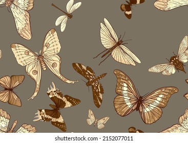 Set of insects: beetles, butterflies, moths, dragonflies. Etymologist's set. Seamless pattern, background. Vector illustration. In realistic style on military green, khaki background