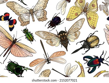 Set of insects: beetles, butterflies, moths, dragonflies. Etymologist's set. Seamless pattern, background. Vector illustration. In realistic style.