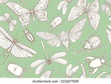 Set of insects: beetles, butterflies, moths and dragonflies. Etymologist's set. Seamless pattern, background. Outline vector illustration.