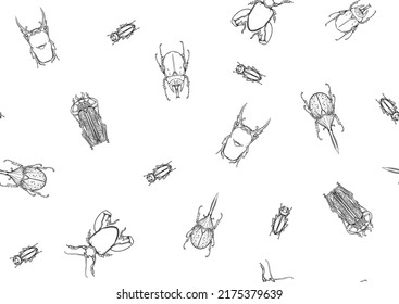 Set of insects: beetles, butterflies, moths and dragonflies. Etymologist's set. Seamless pattern, background. Outline vector illustration