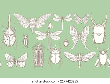 Set of insects: beetles, butterflies, moths and dragonflies. Etymologist's set. Seamless pattern, background. Outline vector illustration.