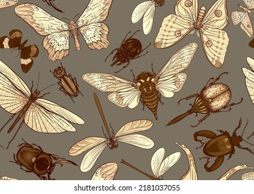 Conjunto de insectos: escarabajos, mariposas, polillas, libélulas. El equipo del etimólogo. Patrón sin inconvenientes, fondo. Ilustración vectorial. En un estilo realista sobre el verde militar, el fondo caqui