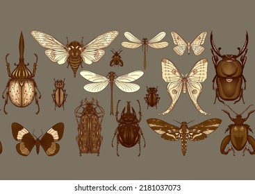 Conjunto de insectos: escarabajos, mariposas, polillas, libélulas. El equipo del etimólogo. Patrón sin inconvenientes, fondo. Ilustración vectorial. En un estilo realista sobre el verde militar, el fondo caqui