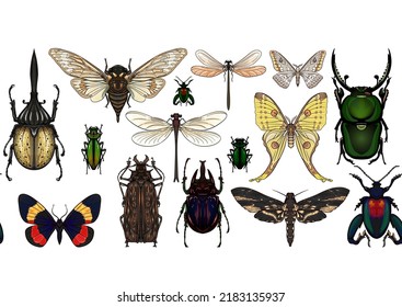Set of insects: beetles, butterflies, moths, dragonflies. Etymologist's set. Seamless pattern, background. Vector illustration. In realistic style.