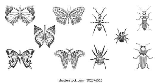 Similar Images, Stock Photos & Vectors of left Chalicodoma muraria