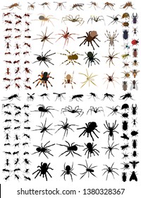 set of insects, beetles, spiders