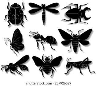 Set of insects in black colors on a white background