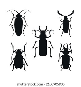 Set of Insects black silhouette. Vector. Eps10. Wildlife beetle.