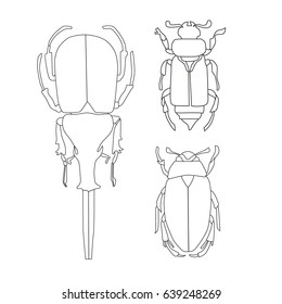 set of insects bugs beetles and bees many species