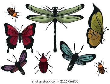 A set of insects. Butterflies, beetles and dragonfly hand-drawn. Vector illustration of animals. Fantastic, colorful insects.