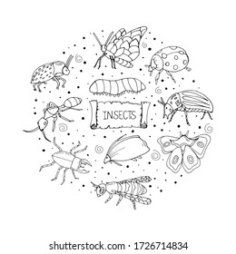 Set with insects. Butterfly, ant, beetle, ladybug, caterpillar, bee on a white background. . Design for biology books. Insects-Doodle style. Printing on paper. Vector isolated illustration with insect