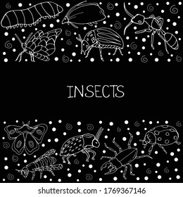 Set with insects. Butterfly, ant, beetle, ladybug, caterpillar, bee on a white background.   Printing on paper. Vector isolated illustration with insect. Design for biology books. Insects-Doodle style