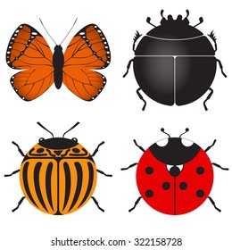Set of insects. Color icons. Vector image. Isolated. 