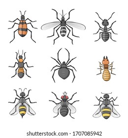 Set of insects in drawing style, vector