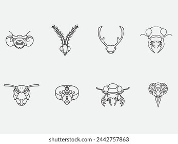 set of insects face and head outline icon isolated on white background.insect bug line art logo concept
